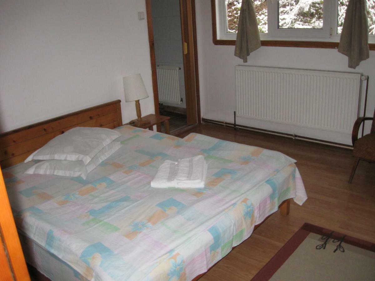 Pensiunea Amo Vălenii de Munte Exterior foto