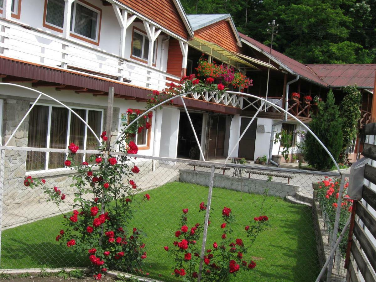 Pensiunea Amo Vălenii de Munte Exterior foto